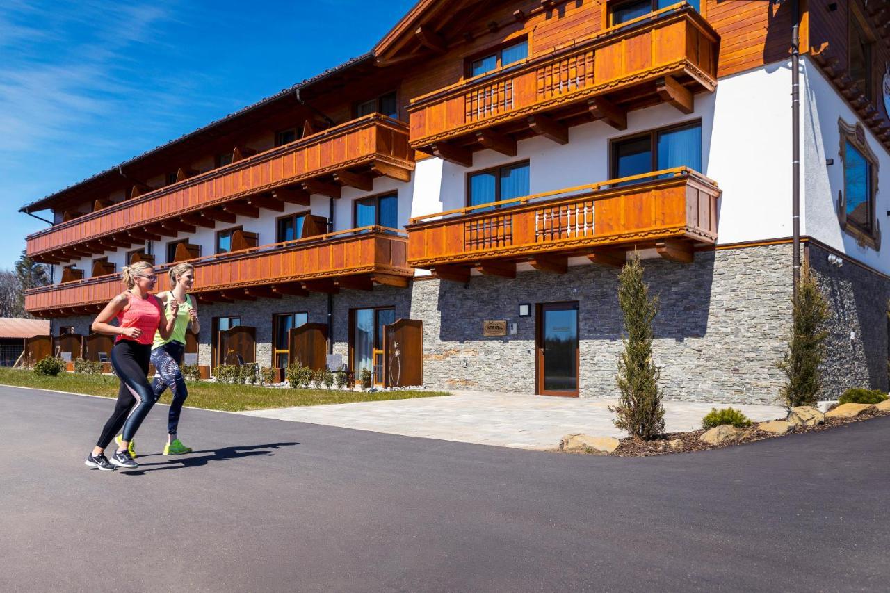 Steig-alm Superior 3* Bad Marienberg